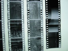 Negs-for-APUG.jpg