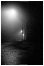 fog105.jpg