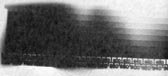 ISO 200 wedge spectrogram.jpg