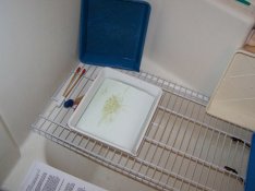 100_0362a.JPG