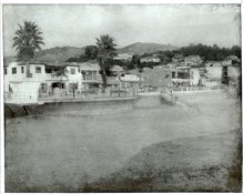 Image40.jpg
