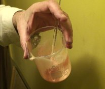View of raw ortho emulsion.jpg