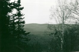 scan0010.jpg