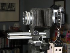 Side shot.jpg