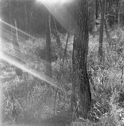 Untitled-2.jpg
