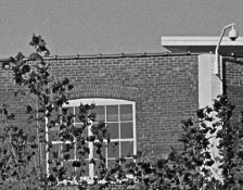 Efke25-Crop.jpg