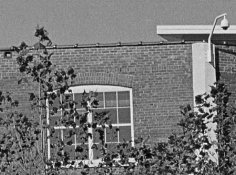 ACROS-1-Crop.jpg