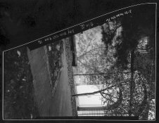 gelatin emulsion 1005.jpg