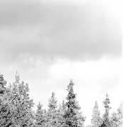 efkepl100 8x1.jpg