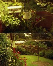 roll2 vs roll3.jpg