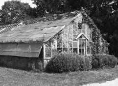 greenhouse.jpg