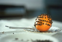 Pomander copy.jpg