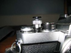 IMG_0260.JPG