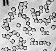 Double run octahedra resized.jpg