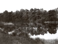 sugar creek ranch small.jpg