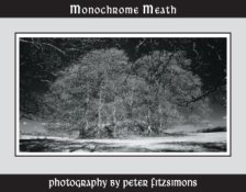 Businness Card (Monochrome Meath) front resized.jpg