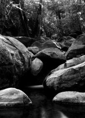 wheeler-gorge-bridge-11x14.jpg