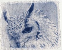 owl_ref.jpg