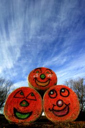 Happy Bales 1 WEB .jpg