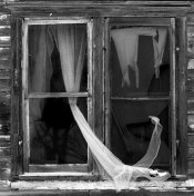 WEB-BurWindow1Copr-DanSmith.jpg