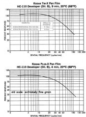 TX-&-PX.jpg