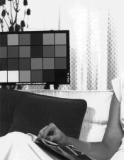 Ilford MGIV test copy.jpg