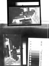 Azo and azo type.jpg