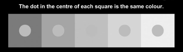 SpotSurround.jpg