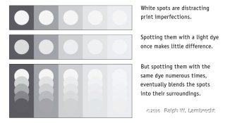 Spotting.jpg