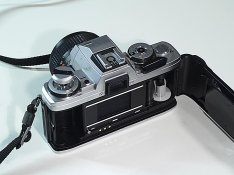 _2233113.jpg