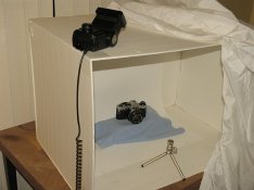 Pro2233.JPG