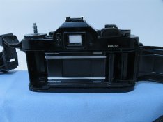 Pro1009.JPG