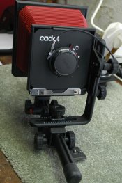 DSC_0307.JPG