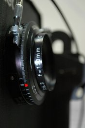 DSC_0310.JPG