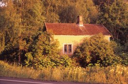 old_velvia3.jpg