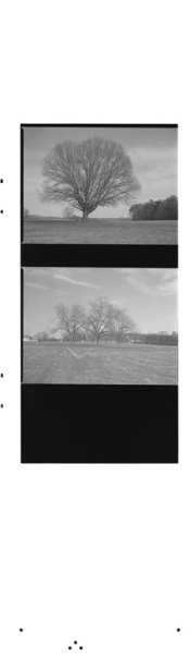frames-14-15.jpg