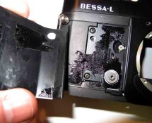 Bessa L side.jpg