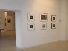 IMG_4sm.jpg