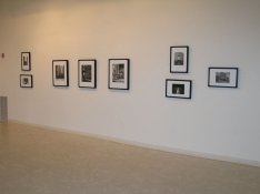 IMG_5sm.jpg
