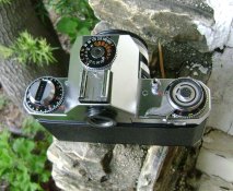 icarex 4.jpg
