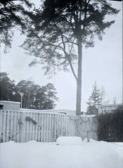 img028.jpg