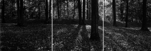 Breastwork and late Sun.jpg