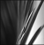 Scan-100313-0002.jpg