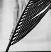 Scan-100313-0010.jpg