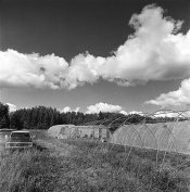 006 - truck and fieldhouses.jpg
