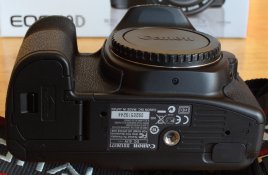 40D05.JPG