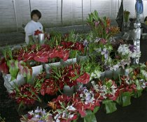Farmer's-market-Hilo-2.jpg