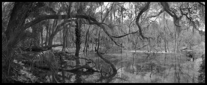 3-Reflections.jpg