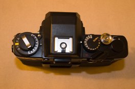 xe7d.jpg