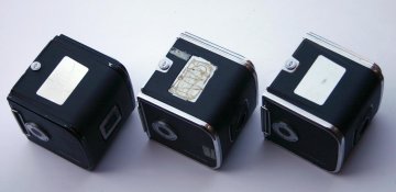 IMG_3639.JPG